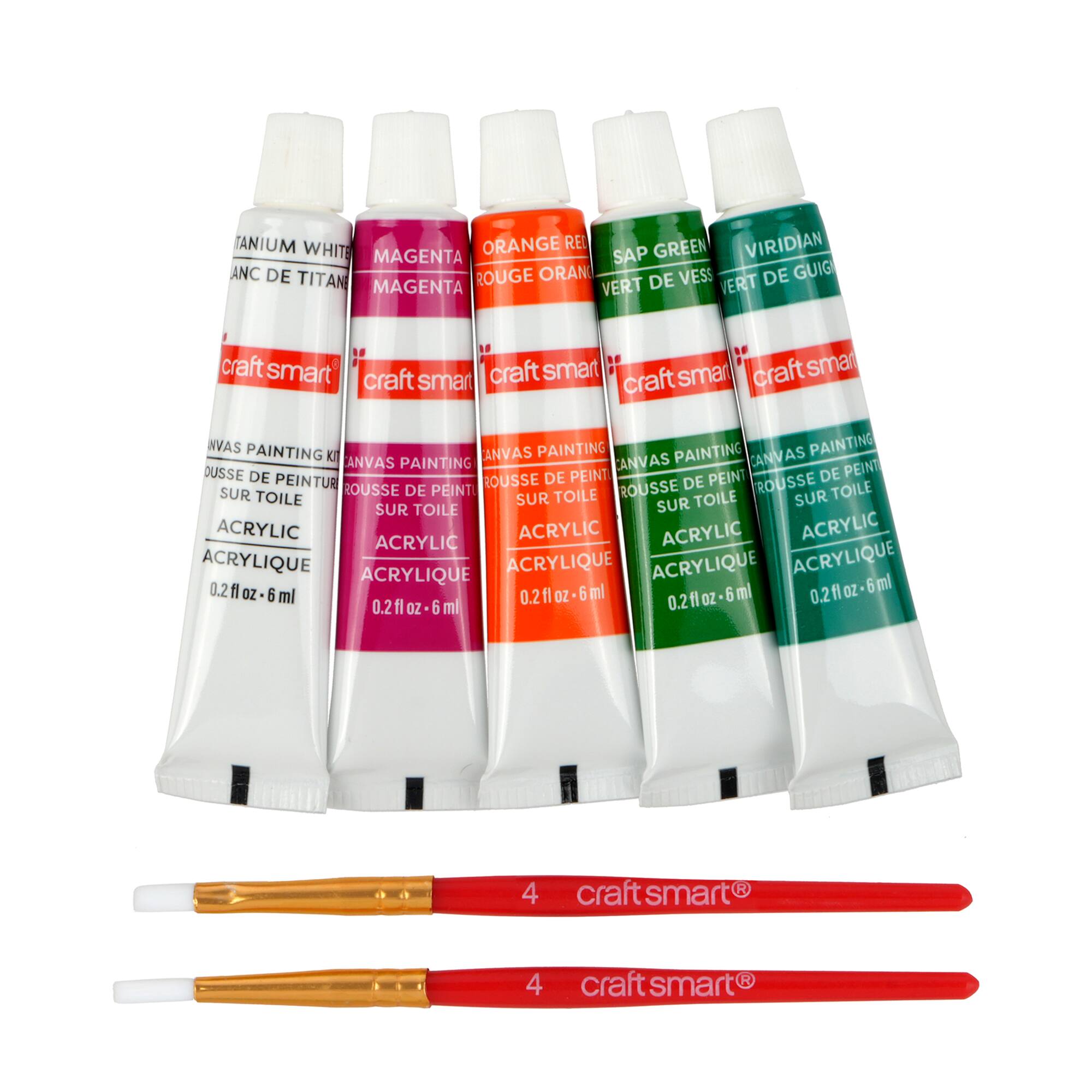 Mini Spring Cat Canvas Painting Kit by Craft Smart®